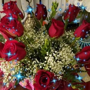 Meet your Posher, Karol